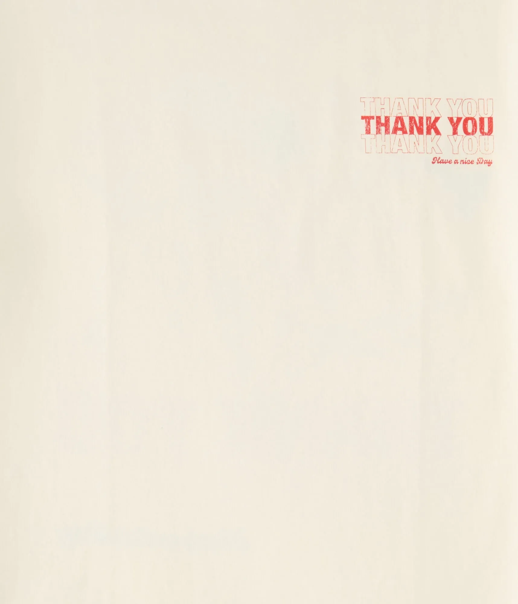 Aeropostale Thank You Floral Graphic Tee
