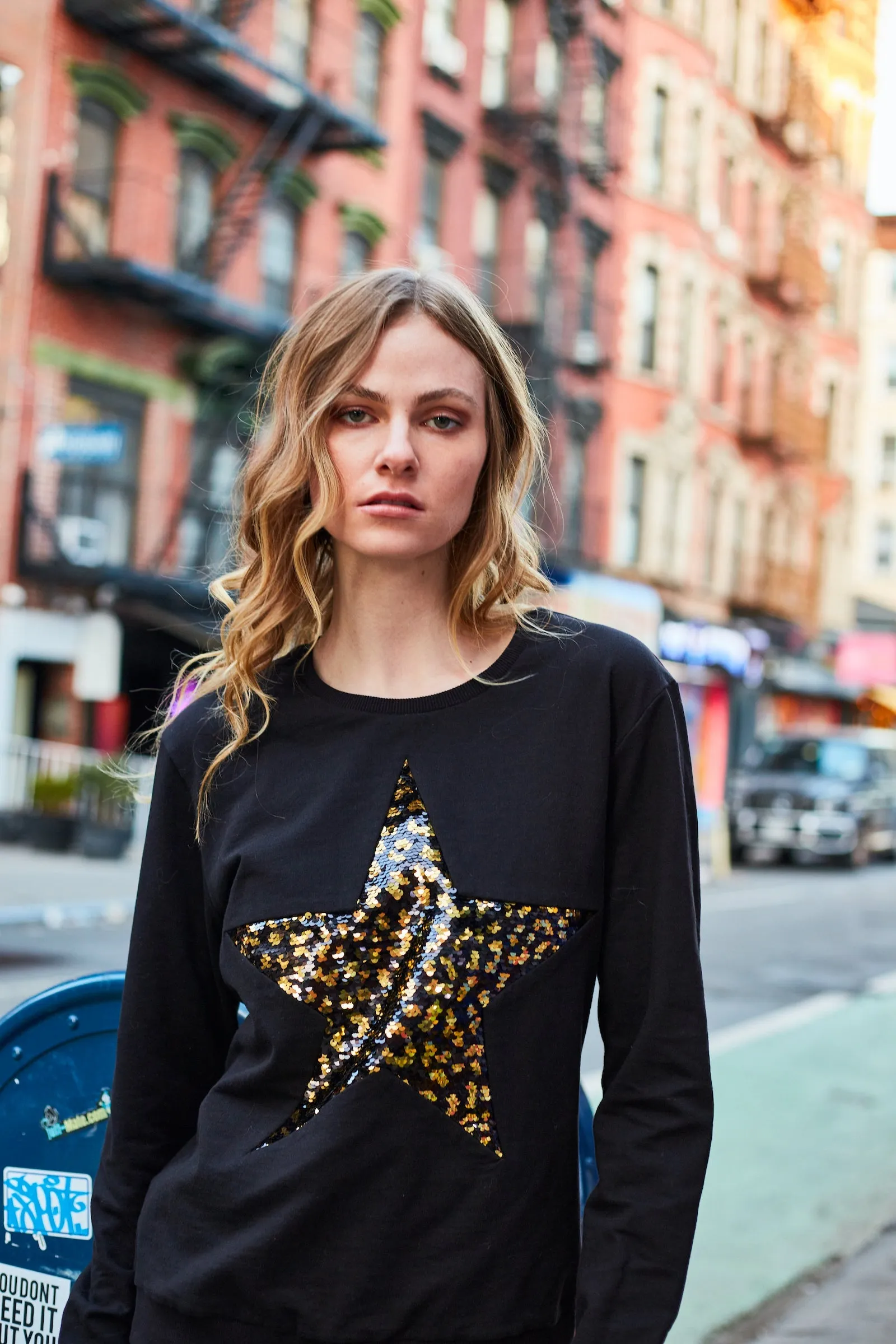 Any Old Iron Women's Leopard Large Star Sweatshirt