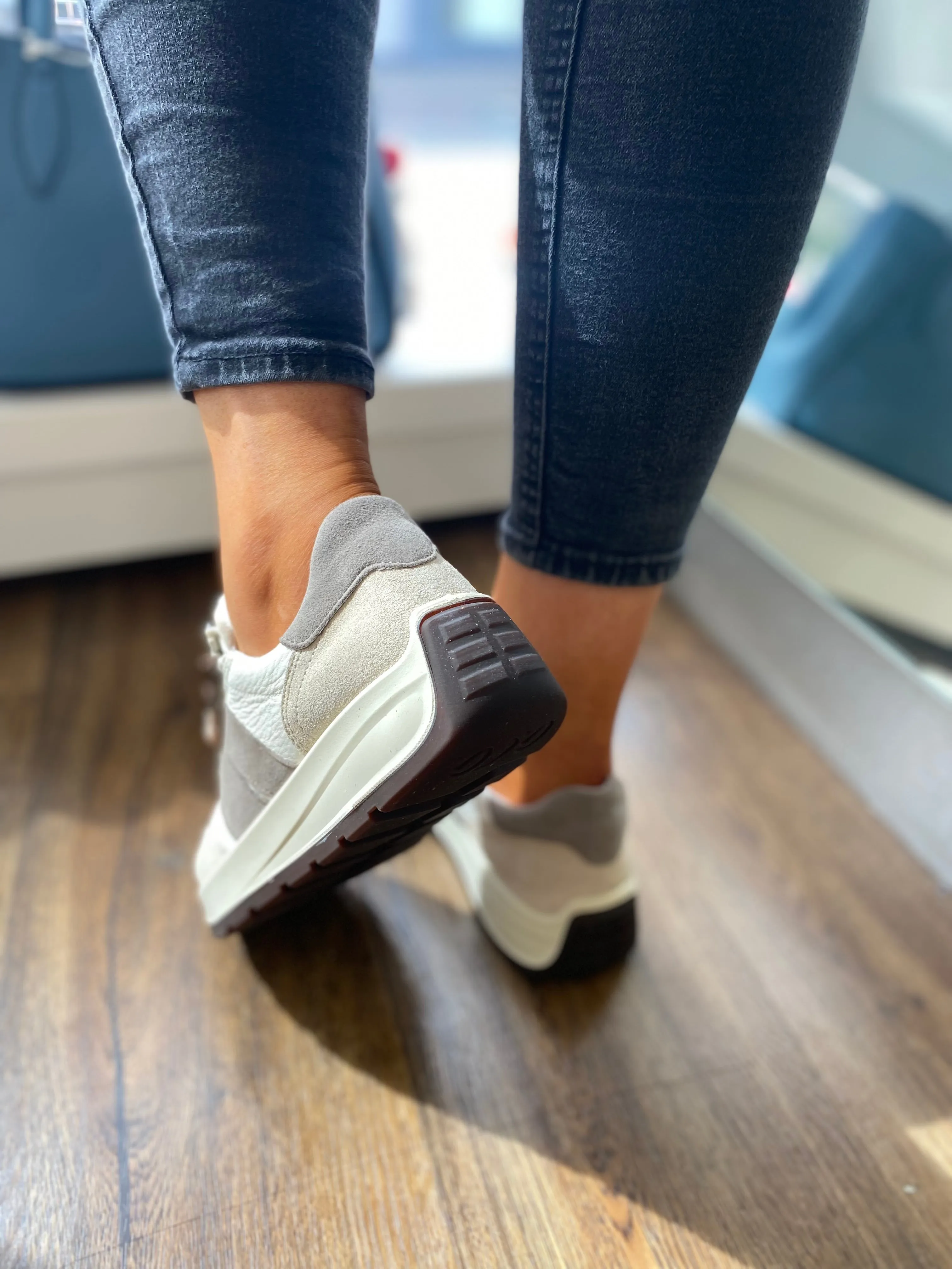 Ara New York Trainer