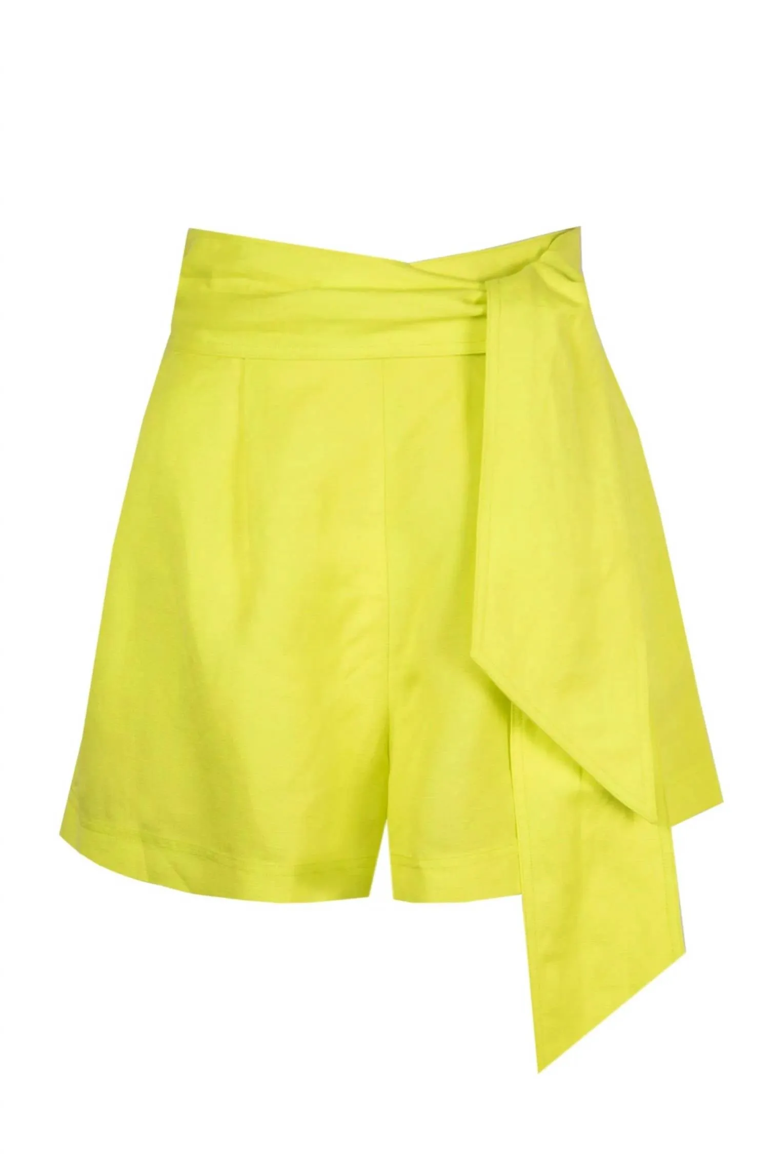 Ashton Shorts In Lime