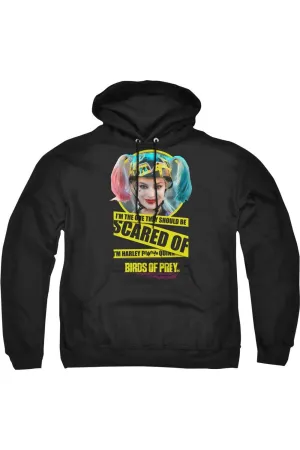 Birds Of Prey Scared Of Adult Pull Over Hoodie / Hooded Sweatshirt