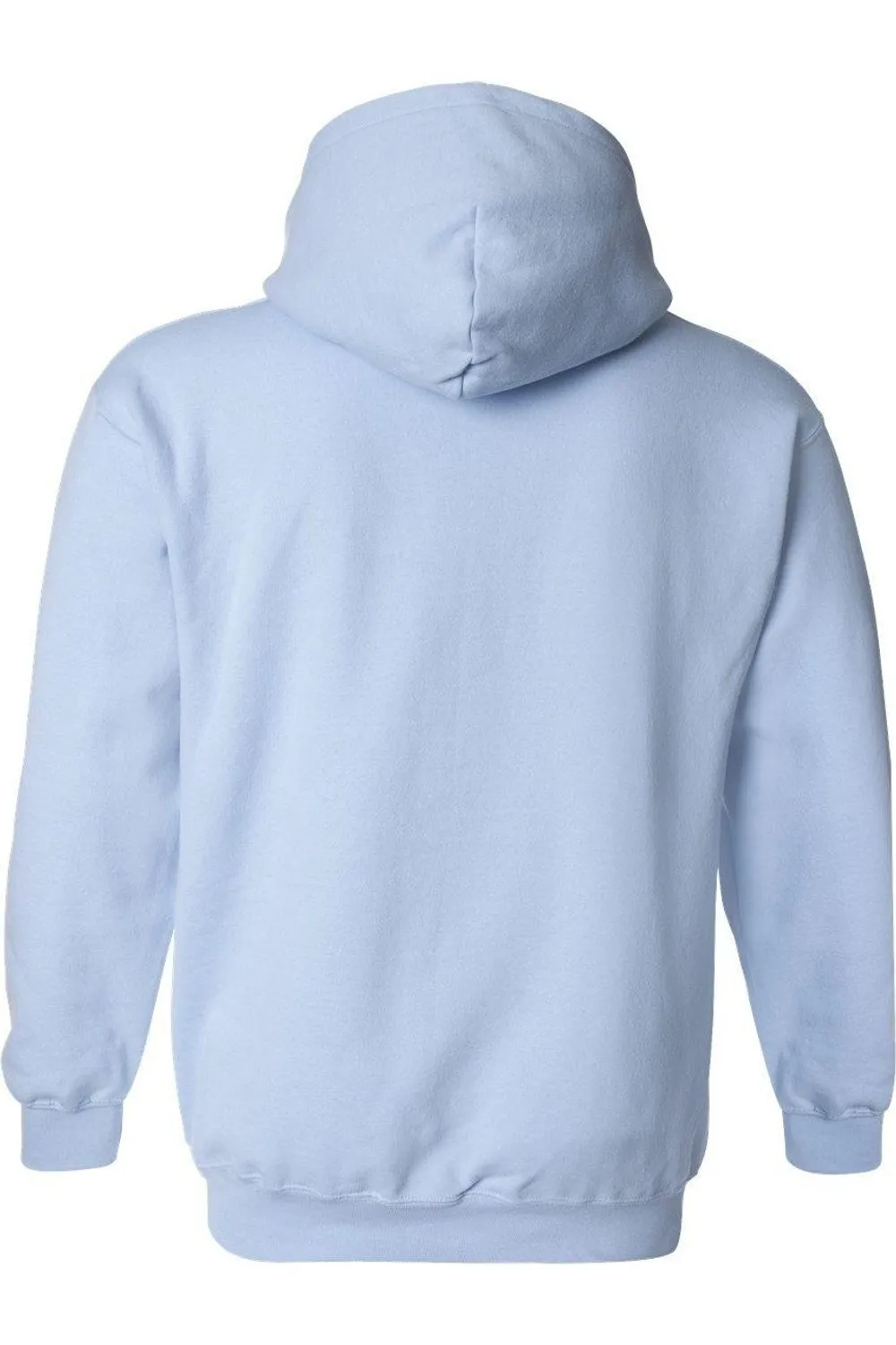 Looney Tunes Retro Tweety Adult Pull Over Hoodie / Hooded Sweatshirt