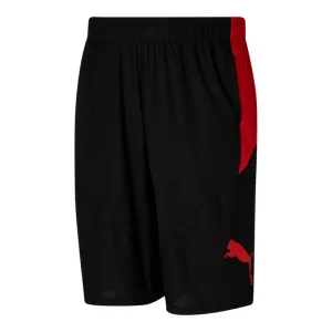 PUMA Men's Cat Training Shorts Big & Tall