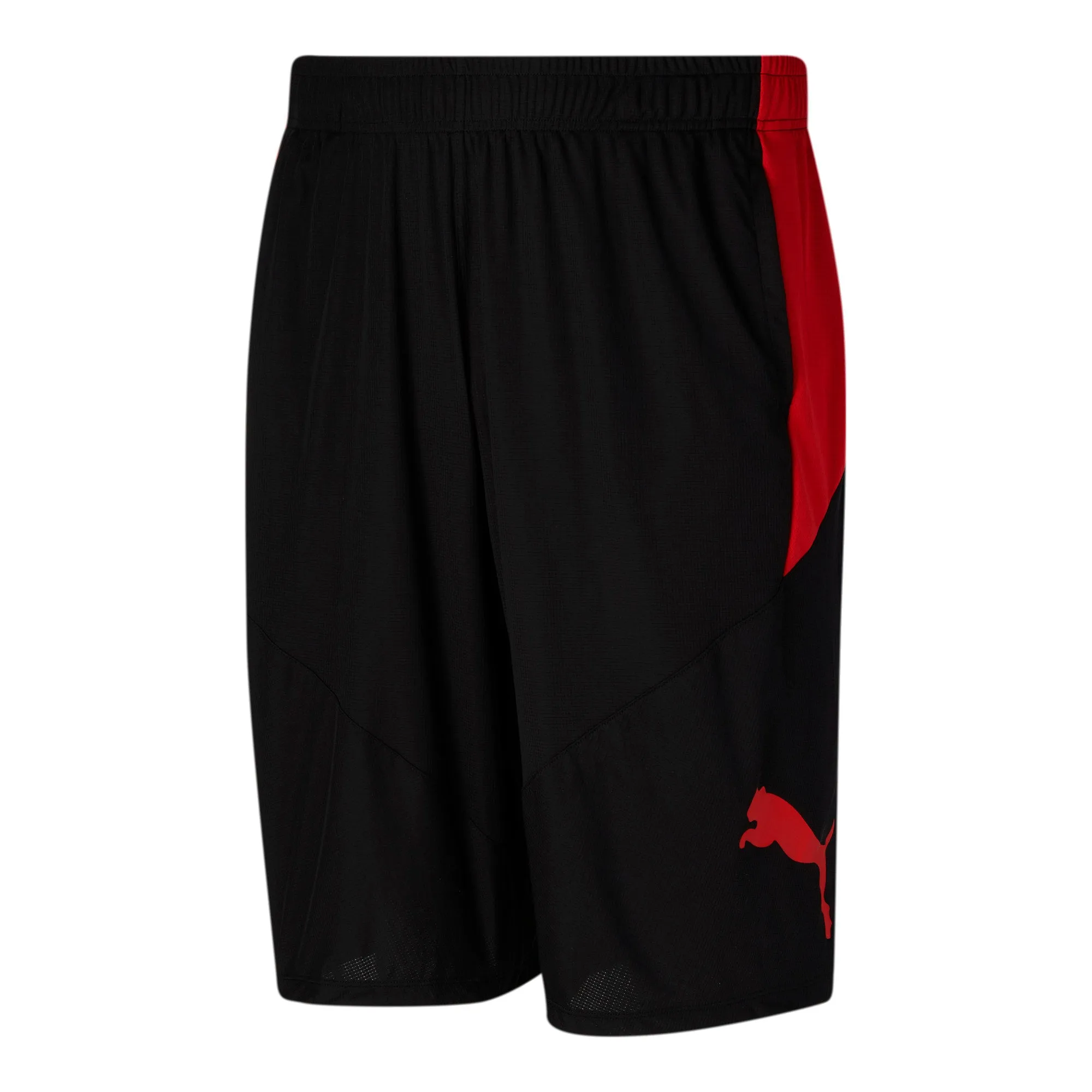 PUMA Men's Cat Training Shorts Big & Tall